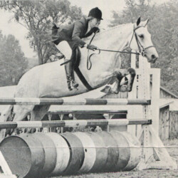 R.H.F. OHarazan (registered in Stud Book IV as Rose Hill's Oharazan), of Rose Hill Farm, won the Junior Hunter Championship of Vermont in 1973 after winning Junior Hunter Champion at all seven shows she competed in. At the time, she was a 10-year-old, 15-2 hand mare. OHarazan was by Tarzan out of Cullahara. She was purchased by Gilnocky Farm at age 6 in 1970.