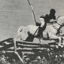 Flying Cloud, by Tooreen Laddie out of *Sun Cloud, won regionaal rallies for the Groton Pony Club many times. She happily participated in eventing, hunter trials, hunting, showing and everything else asked of her. She also had eight foals for Round Robin Farm from 1960 to 1976, all by An Tostal. Flying Cloud, by Tooreen Laddie out of *Sun Cloud, won regional rallies for the Groton Pony Club many times. She happily participated in eventing, hunter trials, hunting, showing and everything else asked of her. She also had eight foals for Round Robin Farm from 1960 to 1976, all by An Tostal.