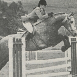 Hideaways Erin Tooreen, owned by Indian Hill Ranch in Valley Center, California, was the winner of the Connemara class at the 1975 Channel City Horse Show in Santa Barbara, California. He also was leading North San Diego County in points for English Pleasure and Hunter and Jumper divisions. Hideaways Erin Tooreen, owned by Indian Hill Ranch in Valley Center, California, was the winner of the Connemara class at the 1975 Channel City Horse Show in Santa Barbara, California. He also was leading North San Diego County in points for English Pleasure and Hunter and Jumper divisions.
