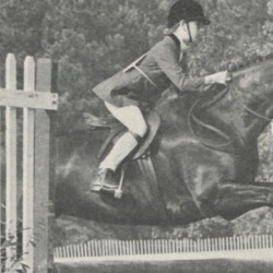 Rose Hill's Mr. B (by Georgia's Mister Irish) is ridden by 10-year-old Kimberly Hackett. The caption said the child did not know how to ride in 1974, when the Hacketts bought "B," but had advanced in a year to 4-H State Reserve Champion in Georgia and a "C" Pony Clubber with a regional rally under her belt (the Atlanta Pony Club was third out of seven, Kim and B had the second highest score on the team, and Kim was the youngest at the rally by four years). The pair were fourth on the Georgia Hunter-Jumper Association list in 12-and-under equitation. They had two championships and one reserve. Rose Hill's Mr. B (by Georgia's Mister Irish) is ridden by 10-year-old Kimberly Hackett. The caption said the child did not know how to ride in 1974, when the Hacketts bought "B," but had advanced in a year to 4-H State Reserve Champion in Georgia and a "C" Pony Clubber with a regional rally under her belt (the Atlanta Pony Club was third out of seven, Kim and B had the second highest score on the team, and Kim was the youngest at the rally by four years). The pair were fourth on the Georgia Hunter-Jumper Association list in 12-and-under equitation. They had two championships and one reserve.