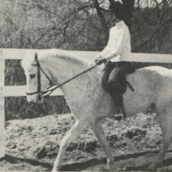 Child rider Mary Ann Burgess, of Amherst, New Hampshire, rides Round Robin's Andante, purchased in 1973. The pair was leading the state of New Hampshire in equitation 14 and under in 1975. Child rider Mary Ann Burgess, of Amherst, New Hampshire, rides Round Robin's Andante, purchased in 1973. The pair was leading the state of New Hampshire in equitation 14 and under in 1975.