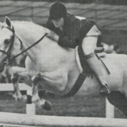 *Blagdon Silver Gilt, an English stallion imported to the US by Hideaway Farm, sired eight foals before being gelded and competing successfully in hunters. He died at age 12 in 1976.