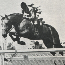 Spring Ledge Bridgette and Caroline Wurtz, niece of Connemara breeder Dr. Marian "Doc" Molthan, compete in a hunter show in Tucson, Arizona, in October 1977. Bridgette was honored with the first Camlin Trophy.