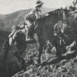 Caroline Wurtz, niece of Connemara breeder Dr. Marian "Doc" Molthan, rides Spring Ledge Bridgette in the Tevis Cup in 1977. Bridgette was honored with the first Camlin Trophy.