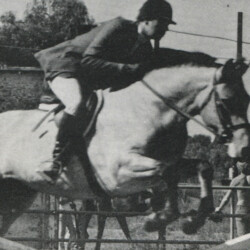 Custusha's Cashel Rock (out of Texas Hope by Springledge Taffy)
