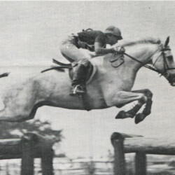 Karen Lende, with Connemara Erin's Shamrock, eventing around 1977.