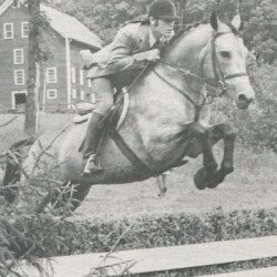Custusha's Cashel Rock (by Texas Hope out of Springledge Taffy), with Michael Keough aboard, in an ad for stud services. Custusha's Cashel Rock (by Texas Hope out of Springledge Taffy), with Michael Keough aboard, in an ad for stud services.