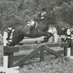 Red Ridge Super Star, a dark brown mare by Texas Hope out of *Bo-Peep.