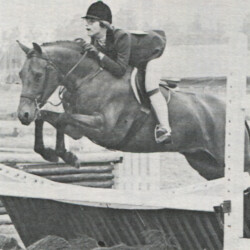Up to Par, a 14.1 1/2 hand bay Connemara-Thoroughbred mare, 6, qualified for the AHSA Hunter Pony Finals in 1978. She was out of *Shamrock Peach (by Tiger Gill) by Last Beacon (Thoroughbred). Up to Par, a 14.1 1/2 hand bay Connemara-Thoroughbred mare, 6, q