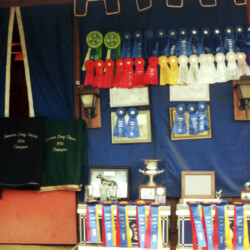 Ribbons and trophies won by Foxglove and Kerrymor farms at the West Coast Connemara Show in August 1986 in Ventura, California, are displayed on the tack stall of Willoway Farm. Willoway was the farm name of Dave and Kathy Johnson, who served as trainers for the show.