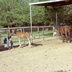Terry McKenna with Foxglove's Oscar Wild and Oscar's mother, Paula, a wild mustang, in 1987 at Foxglove Farm in Laveen, Arizona. Oscar was by Camus John's Gladiator, who lived at Foxglove Farm in the mid-1980s. Terry McKenna with Foxglove's Oscar Wild and Oscar's mother, Paula, a wild mustang, in 1987 at Foxglove Farm in Laveen, Arizona. Oscar was by Camus John's Gladiator, who lived at Foxglove Farm in the mid-1980s.