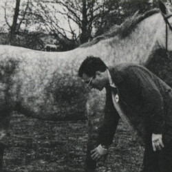 George Allen, DVM, discusses the foreleg of a Connemara at the 1977 annual meeting of the American Connemara Pony Society in Fort Washington, Pennsylvania. The pony was not identified.
