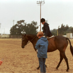 Kerrymor Lady Diana and Terry McKenna with Joan Ervin at the West Coast Connemara Show in 1986 in Ventura, California.