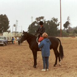 Kerrymor Spotlight and Joan McKenna Jr. speak with Joan Ervin at the West Coast Connemara Show in 1986 in Ventura, California.