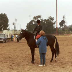 Kerrymor Spotlight and Joan McKenna Jr. speak with Joan Ervin at the West Coast Connemara Show in 1986 in Ventura, California. Kerrymor Spotlight and Joan McKenna Jr. speak with Joan Ervin at the West Coast Connemara Show in 1986 in Ventura, California.