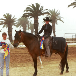 Spring Ledge Irish Whiskey, owned by Foxglove Farm, with Kathy McCarthy aboard, and Marian Molthan, MD, of Foxglove Farm, holding many of his ribbons at the 1986 West Coast Connemara Show in Ventura, California. Whiskers competed in hunters, Western and driving classes.