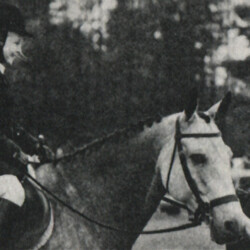 Halfbred gelding Starlight of Lakeside (by Fox Ridge Star Light out of a mare named Honey), owned by Lester W. Hammond of Fryeburg, Maine, was 1977 Maine Horse Association Champion Green Working Hunter and Champion Green Hunter Under Saddle.