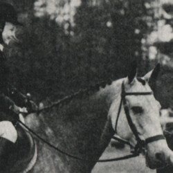 Halfbred gelding Starlight of Lakeside (by Fox Ridge Star Light out of a mare named Honey), owned by Lester W. Hammond of Fryeburg, Maine, was 1977 Maine Horse Association Champion Green Working Hunter and Champion Green Hunter Under Saddle. Halfbred gelding Starlight of Lakeside (by Fox Ridge Star Light out of a mare named Honey), owned by Lester W. Hammond of Fryeburg, Maine, was 1977 Maine Horse Association Champion Green Working Hunter and Champion Green Hunter Under Saddle.
