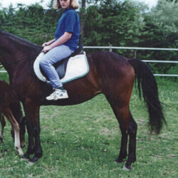 Woodchuck Ridge's Fallon O'Flynn, born in 1992, out of O'Flynn's Lady (Oak Hills bloodlines) by Balmullo's Same as Gold, was a fantastic broodmare and riding pony for Ledgewood Farm. Fallon had at least four foals: Ledgewood's Greystone Ian McFlyn, Ledgewood's Greystone Kellianne, Ledgewood's Greystone Tralee and Ledgewood's Greystone Autumn. The filly with her is Tralee. (Photo by Kathy Manyo)