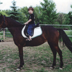 Woodchuck Ridge's Fallon O'Flynn, born in 1992, out of O'Flynn's Lady (Oak Hills bloodlines) by Balmullo's Same as Gold, was a fantastic broodmare and riding pony for Ledgewood Farm. Fallon had at least four foals: Ledgewood's Greystone Ian McFlyn, Ledgewood's Greystone Kellianne, Ledgewood's Greystone Tralee and Ledgewood's Greystone Autumn. (Photo by Kathy Manyo)