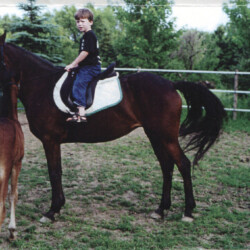 Woodchuck Ridge's Fallon O'Flynn, born in 1992, out of O'Flynn's Lady (Oak Hills bloodlines) by Balmullo's Same as Gold, was a fantastic broodmare and riding pony for Ledgewood Farm. Fallon had at least four foals: Ledgewood's Greystone Ian McFlyn, Ledgewood's Greystone Kellianne, Ledgewood's Greystone Tralee and Ledgewood's Greystone Autumn. The filly with her is Tralee. (Photo by Kathy Manyo)